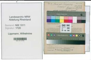 Entnazifizierung Wilhelmine Lippmann , geb. 06.12.1905 ()