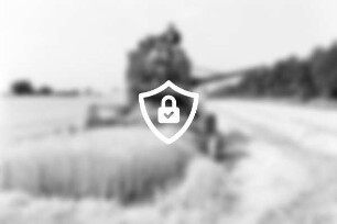 Landwirtschaft: Einbringen der Wintergerste: Landwirt [Name maskiert] und Helfer [Name maskiert] [Name maskiert] Mähdrescher: rechts Feldbereich nach Ernte, Stroh: hinten rechts Bäume: 1. [Name maskiert]