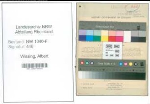 Entnazifizierung Albert Wissing , geb. 09.06.1893 (Sparkassenvorstandsmitglied)
