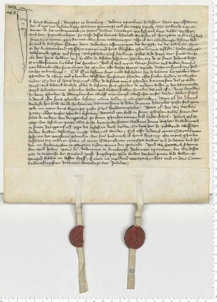 Der Bürger Hans Wijtingk verkauft dem Bürger Diderik Wultzken seinen Garten "buten deme Rodendore alsze men van der brugge na der villekulen geit". Es besiegeln die Ratsmannen Hartwich Schomaker und Johan vame Lo