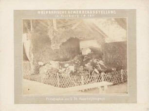 Miniaturlandschaft bei der Oberbadischen Gewerbeausstellung in Freiburg i. Br.