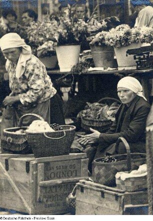 Marktfrauen im Hafen