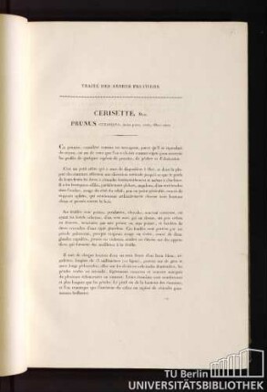 Traité des arbres fruitiers. Cerisette. Duh. Prunus cerasiana, fructu parvo, ovato, dilutè rubro.