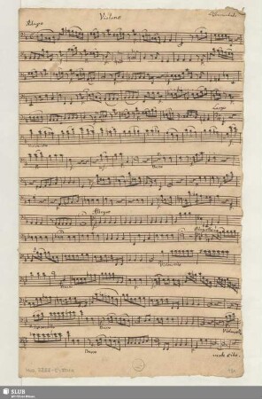 Violono