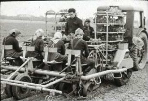 Pflanzmaschine