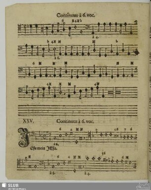 XXV. Jesu mein Jesu