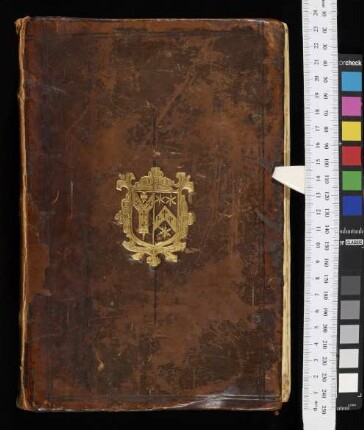Sermones dominicales & Themata de tempore, de sanctis et de communi sanctorum