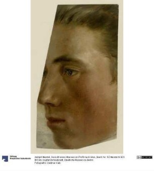 Gesicht eines Mannes im Profil nach links