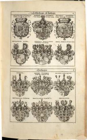 Erneuert- und Vermehrtes Wappen-Buch : In welchen Aller hoher Potentaten, der Römischen Käysere, Könige, ... samt anderer Stände ... Wappen, Schilde, Helmen, Kleinodien, Nebenst Dero Nahmen und Herrschafften, in schönen Kupffern vorgebildet, Und vormalens in Fünff, Anjetzund aber, zu dessen sonderbarer Verbesserung In Sechs Theilen, Benebenst einem Anhang, Darinnen auch der ... Ausländischen Königreiche und Souvrainen Wappen und Kleinodien enthalten