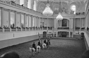 Wien: Spanische Reitschule, Training in der Reithalle