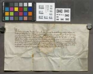 Friedberg: Kaiser Karls IV. Befreiung der Stadt Wetzlar von dem neuen Weggeld zu Friedberg