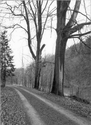 Neißetal südlich der Zisterzienserinnenabtei Klosterstift St. Marienthal. Blick vom linken Neißeufer flußabwärts