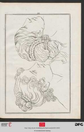 Taf. 30 [Kopfstudien nach Albano (Kontur)]