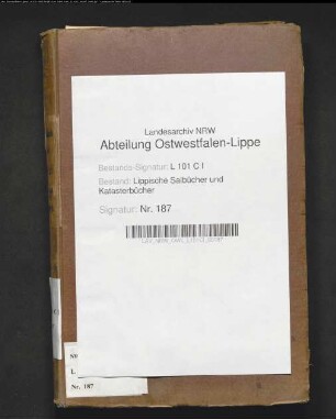 Salbuch der Stadt Salzuflen von 1854, Bd. 1 (Duplikat)