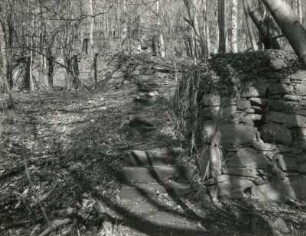 Radebeul, Augustusweg 110. Park der Villa "Jägerberg". Treppe und Mauern eines ehemaligen Weinberges