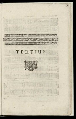 Tertius.