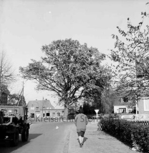 Dorfstraße: vorn Mitte Frau: rechts Hecke: dahinter parkende Pkws und Gebäude: links Unimog: hinten Mitte Friedenseiche: dahinter Hauptstraße und Wohnhäuser
