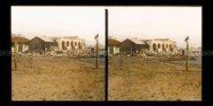 Schlachthaus und Aasgeier am Hafen von Veracruz
