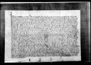 Burkhard Glöß von Münchingen reversiert Abt und Konvent von Zwiefalten für das Erblehen des Mönchshofs zu Münchingen.