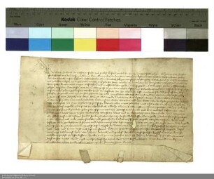 Johann [Küchenmeister], Dechant von Fulda und Propst von Michaelsberg, verleiht den Elbrichshof bei Bimbach