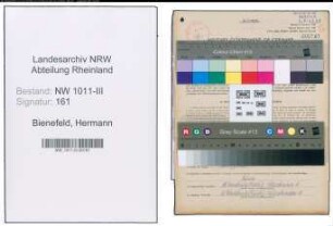 Entnazifizierung Hermann Bienefeld , geb. 25.07.1899 (Reichsbahn Zugfuehrer)