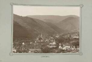 Blick auf Oppenau