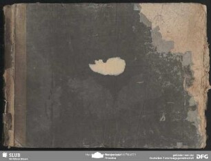 La Dama soldato - Mus.3480-F-504