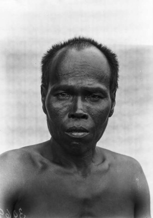 Plantagenarbeiter (Deutsche Indien-Expedition 1926/1929 - 4. Andamanen)
