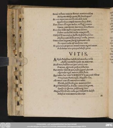 Vitis.