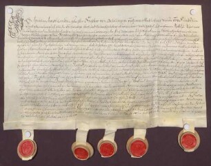 Instrumentum probationis Ignaz Joseph von Beroldingens.