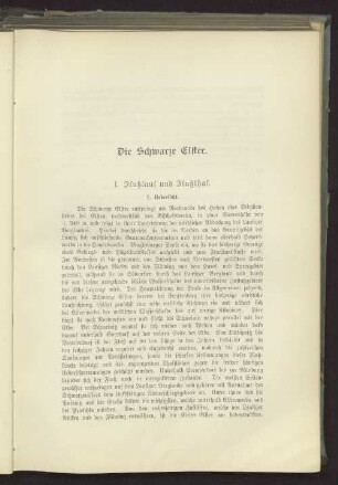 Die Schwarze Elster