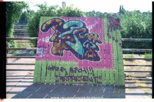 ZOSTOR NORTE | GiRONA PERCH!!! "...REPRESENT..."