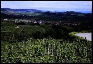 Burkheim: vom Berg auf Burkheim, Kaiserstuhl und Schwarzwald