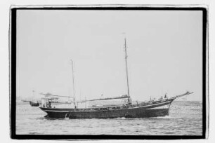 Argonaut (1912), Willi Hagenah, Dornbusch
