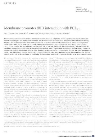 Membrane promotes tBID interaction with BCLXL