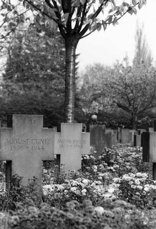 Gräberfeld für die Fliegeropfer des Zweiten Weltkriegs auf dem Karlsruher Hauptfriedhof.