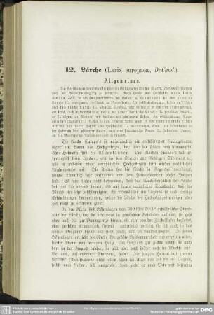 12. Lärche (Larix europaea, DeCand.)
