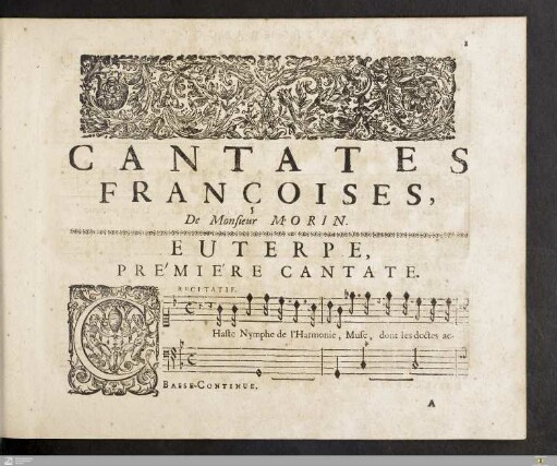 Euterpe