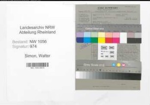 Entnazifizierung Walter Simon , geb. 28.07.1908 (Ingenieur)