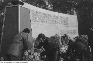Kranzniederlegung an der Gedenkstätte für die Opfer des anglo-amerikanischen Luftangriffes auf Dresden am 13.-14. Februar 1945