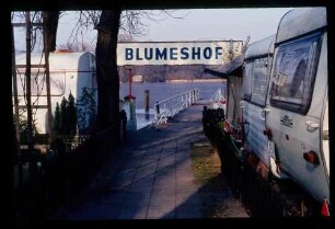 Blumeshof 19.2.84.