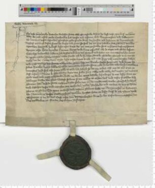 Geburtsbrief für Clawes Dreyer, ausgestellt von Bürgermeister und Ratsmannen zu Dannenberghe.