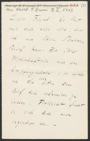 Brief an Ferruccio Busoni : 28.06.1907