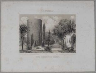 Salzwedel: Burg