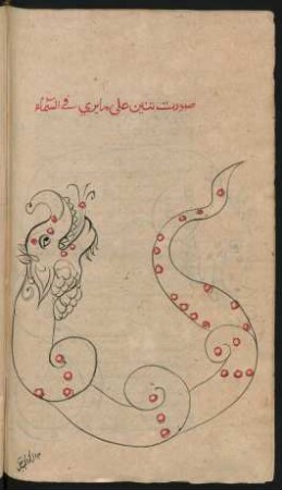 Illustration: Sternbild des Drachens