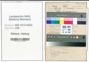 Entnazifizierung Hedwig Ribbeck , geb. 06.03.1891 (Lehrerin)