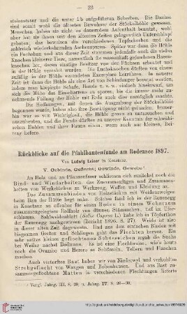 5: Rückblicke auf die Pfahlbautenfunde am Bodensee 1897, [3]