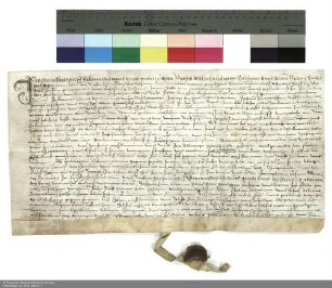 Revers Georg Heydwolffs bezüglich der Belehnung mit einem Hof in Dietershausen durch Balthasar [von Dernbach], Abt von Fulda