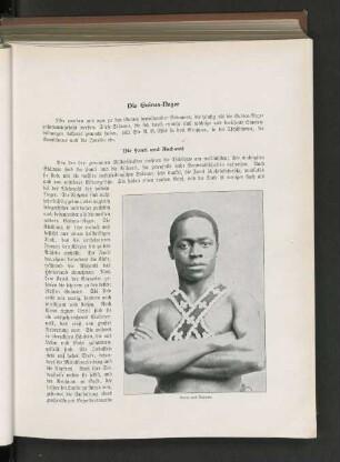 Die Guinea-Neger