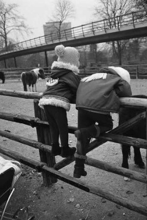 Besuch bei den Ponies im Karlsruher Zoo.